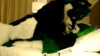 Kandi Klover Yiff Compilation