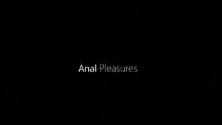 Anal Pleasures