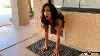Bang POV - Stuck Doggy Style