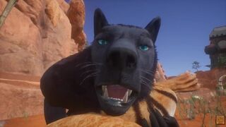 Wild Life Tiger Furry Girl With Wolf (Furry Girl POV)