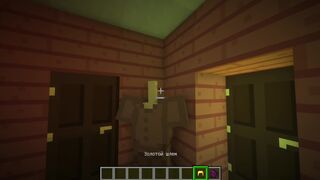 game porn Minecraft - Came to the village and settled in the house