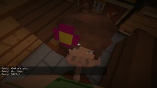 Minecraft Jenny Porn Game - village shop