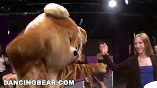 DANCING BEAR - Dick Slangin' Gigolos Putting On Wild Show For Gang Of Horny Bitches