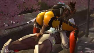 Overwatch Tracer 3D SFM Compilation Full Sound