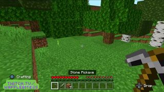 Minecraft chill! Check out my livestreams on twitch! No fucking, just gaming!