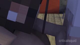 Boy Gets Caught Jacking Off in Library [Minecraft Animation]