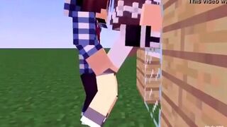 Sex a Girl in Minecraft Animation