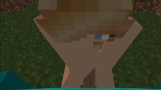 Minecraft porn 1