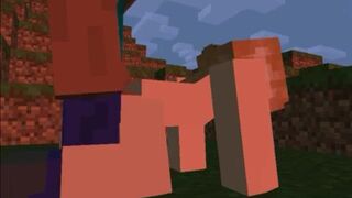 Minecraft porn 1