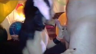 Rabbit fighting between balloons