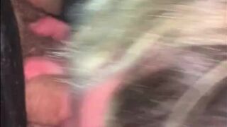 Green Haired MILF sucks cock and swallows cum in car