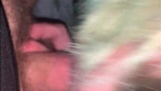 Green Haired MILF sucks cock and swallows cum in car