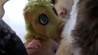 Slutty furry girl is ready to suck big dicks