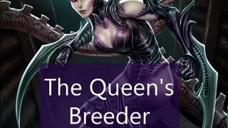 A Queen's Breeder F/A
