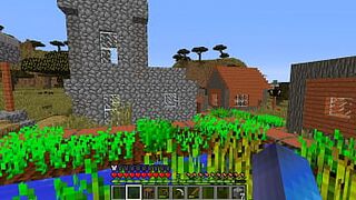 Minecraft play: found a village and walked around it a little