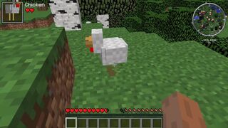 Minecraft play: Almost immortal chickens or why you need a wooden sword