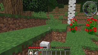 Minecraft play: Almost immortal chickens or why you need a wooden sword