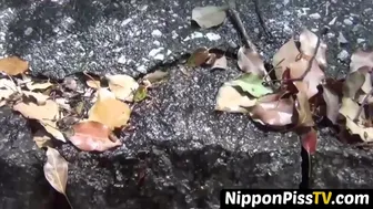 Japanese Women Furtively Taped As They Are Pissing