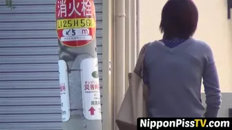 Different Bushy Pussy Asian Chicks Close Up Outside Pissing