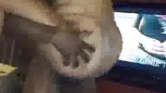 Young Inked Cuckold Wife Takes BBC In Front Of Husband