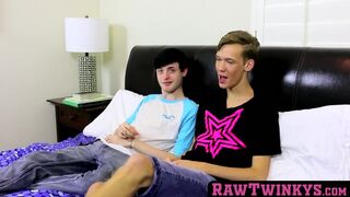 Skinny homos alternately fuck each other hard and raw