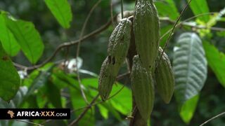 Sensual Sex in the african jungle