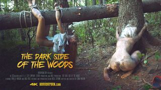 HORROR PORN – The Dark Side of The Woods