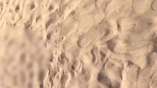 Il leche une chatte sur la plage - Amateur francais