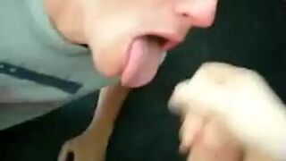 Amateur Dude Sucks Cock and Gets a Mouthful of Cum