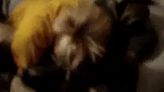 Amateur Slut Wife Enjoying A Huge Black Cock