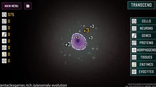 ANOMALY EVOLUTION