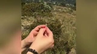 420 Smoking, Outdoor Blowjob and Sex with a View