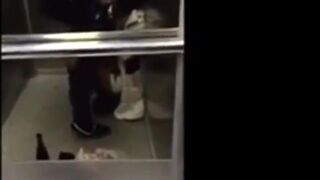 Amateur Couple's Elevator Adventure