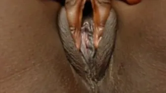Black Amateur Pussy On Webcam