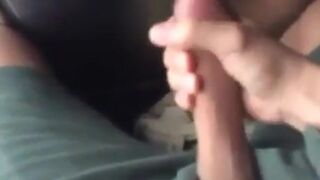 Helping Hand on the Bus with a Big Cock