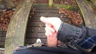 Handjob in Public Park Makes Me Cum