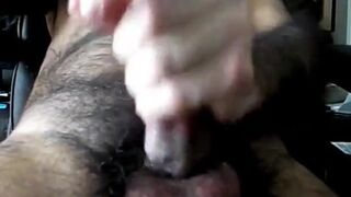 Hairy Bear Daddies Cum