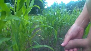 Outdoor Masturbation in Cornfield & Woods