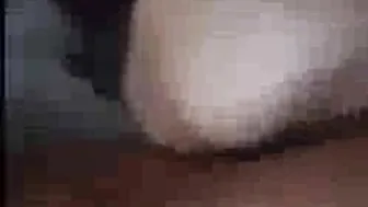 Impaled porn video – Hot Wife Impaled By Hard Cock