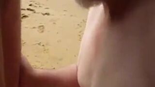 Sucking Dick on the Beach