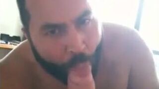 Amateur Bear Sucks Daddy's Huge Cock