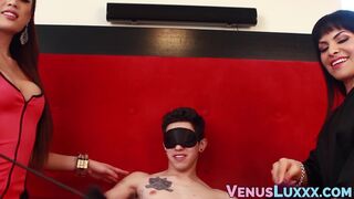 Juicy tits Asian tranny Venus Lux gets sticky facial in 3way