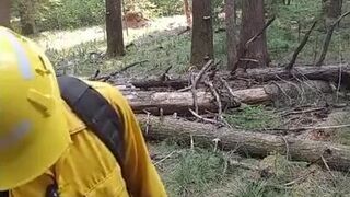 Wildfire Worker's Outdoor Masturbation Solo