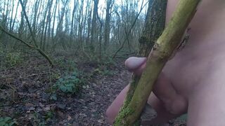 Forest Handjob