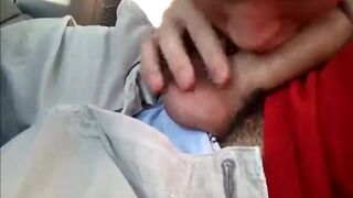 Twink Sucks Dick in Car and Swallows