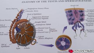 Evie Christian studying the reproductive system