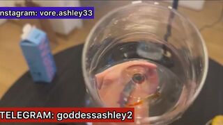 Fish vore Goddess Ashley swallow