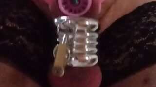 new chastity fish basket with lock metal rings and blue plug in urethra