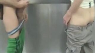 Public Restroom Blowjob