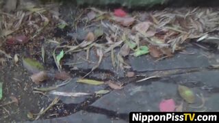 NipponPissTV.com - Horny perv captures cute jap chicks urinating in public on the str